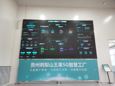 深耕四張精品網 助力中國式現(xiàn)代化開新篇 走進云上之城的數(shù)據處理與存儲服務